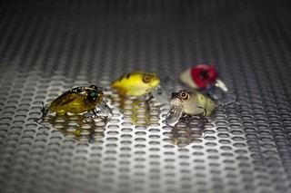 メガバス BABY GRIFFON ZERO